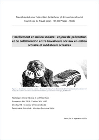 TB_Dubey_Mathilde_Rebetez_Eloïse_Harcèlement en milieu scolaire.pdf